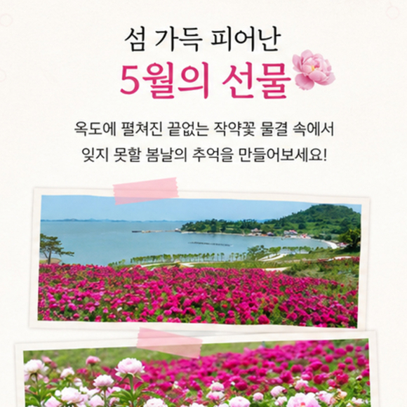 [사진 제공 신안군. 재판매 및 DB 금지]