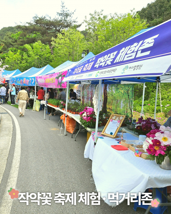 [사진 제공 영월군. 재판매 및 DB 금지]