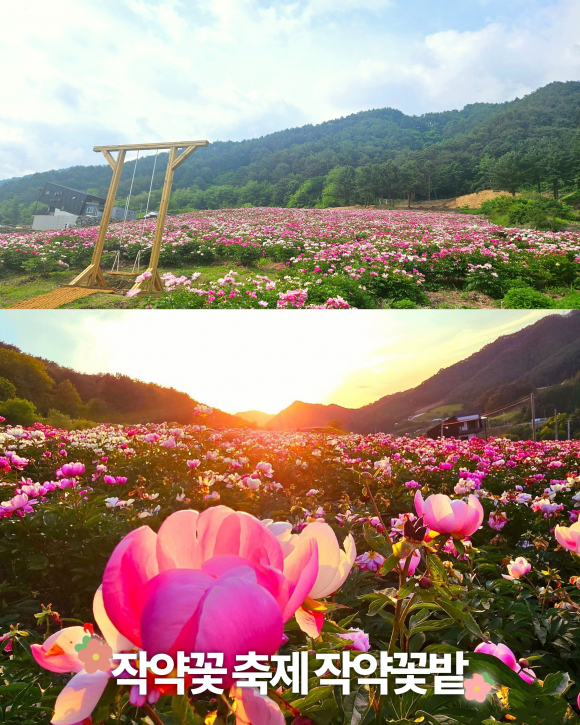 [사진 제공 영월군. 재판매 및 DB 금지]