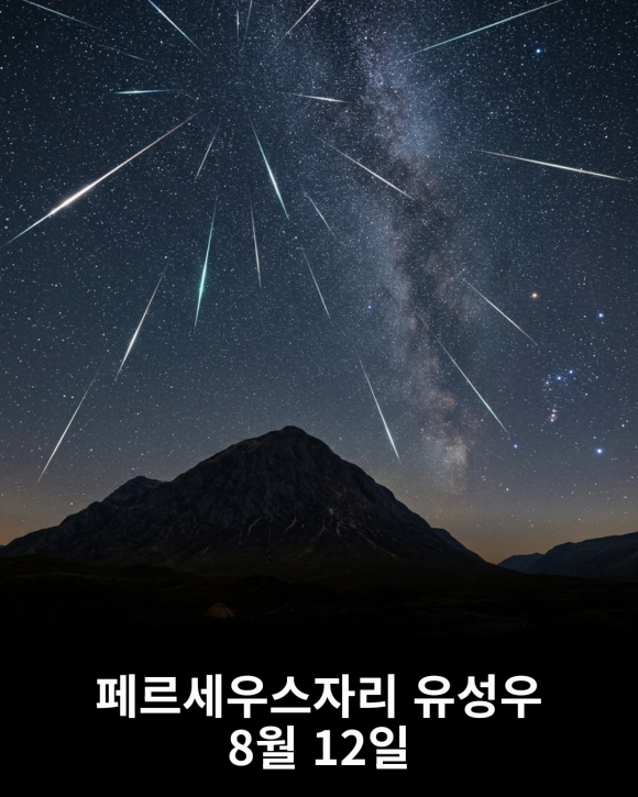 [사진 제공 space_secret.zip. 재판매 및 DB 금지]
