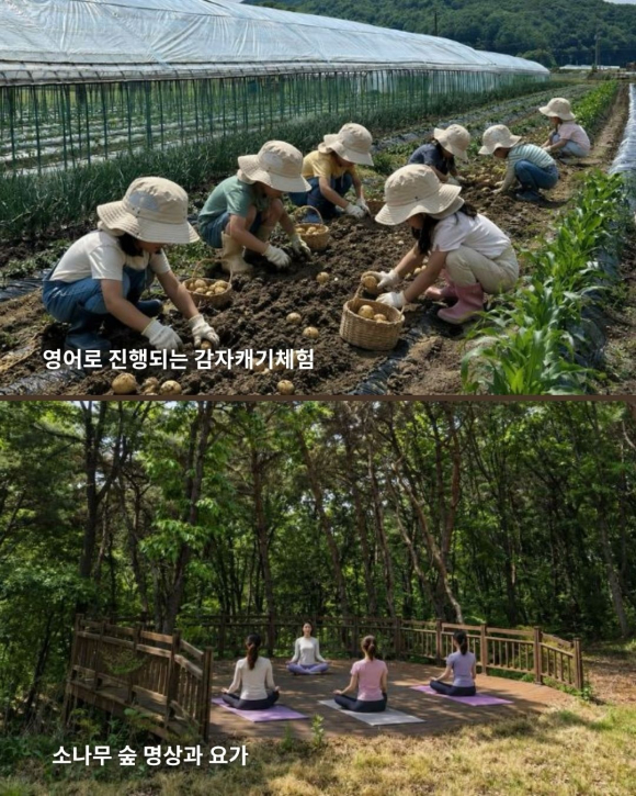 [사진 제공 청양군. 재판매 및 DB 금지]