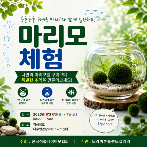 [사진 제공 한국식물레이아웃협회. 재판매 및 DB 금지]