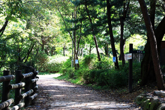 [사진 제공 관악구 여가도시과. 재판매 및 DB 금지]