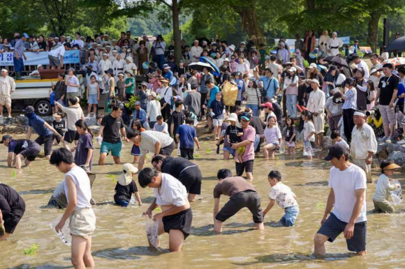 [사진 제공 증평군. 재판매 및 DB 금지]