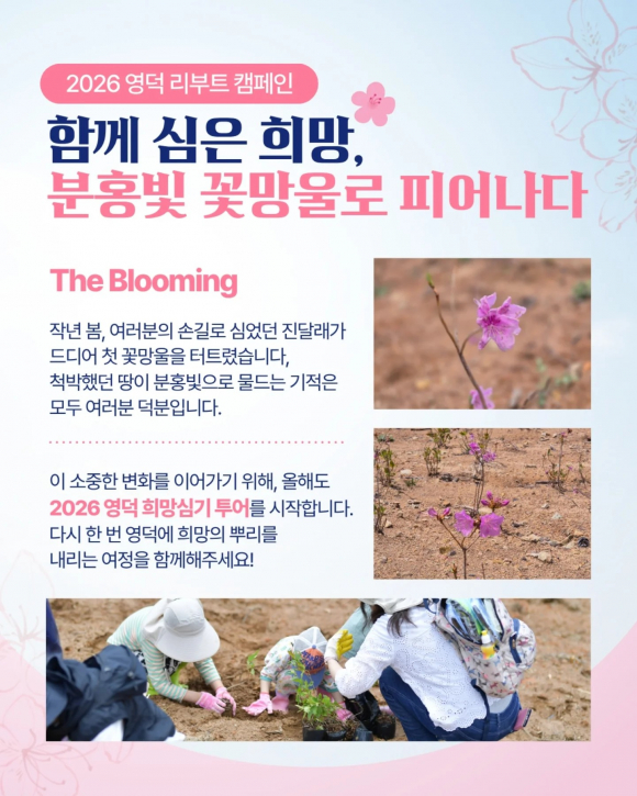 [사진 제공 영덕군. 재판매 및 DB 금지]
