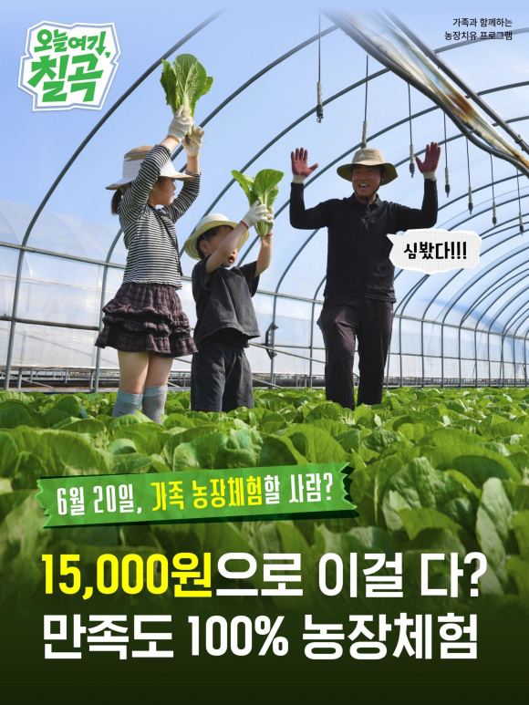 [사진 제공 칠곡군 농업기술센터. 재판매 및 DB 금지]