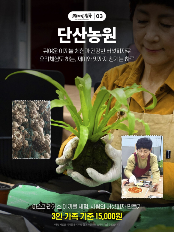 [사진 제공 칠곡군 농업기술센터. 재판매 및 DB 금지]
