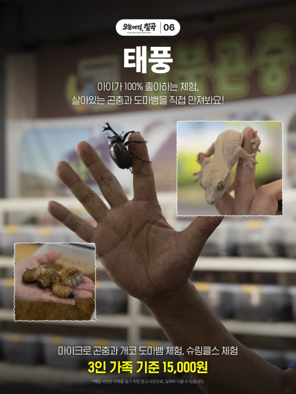 [사진 제공 칠곡군 농업기술센터. 재판매 및 DB 금지]