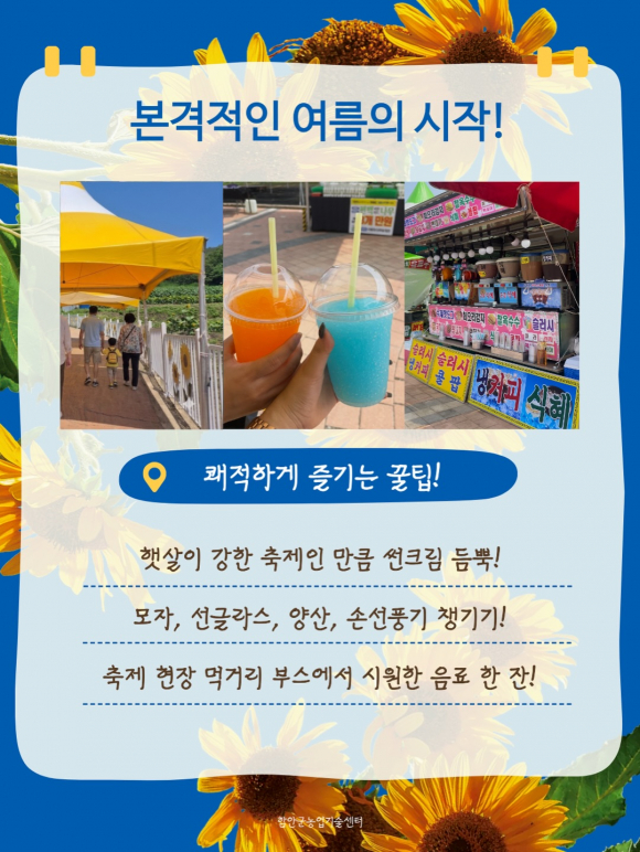 [사진 제공 강주마을. 재판매 및 DB 금지]