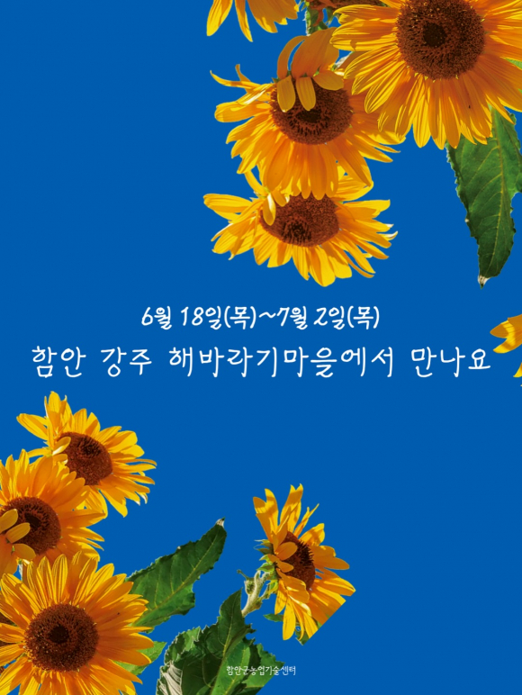 [사진 제공 강주마을. 재판매 및 DB 금지]