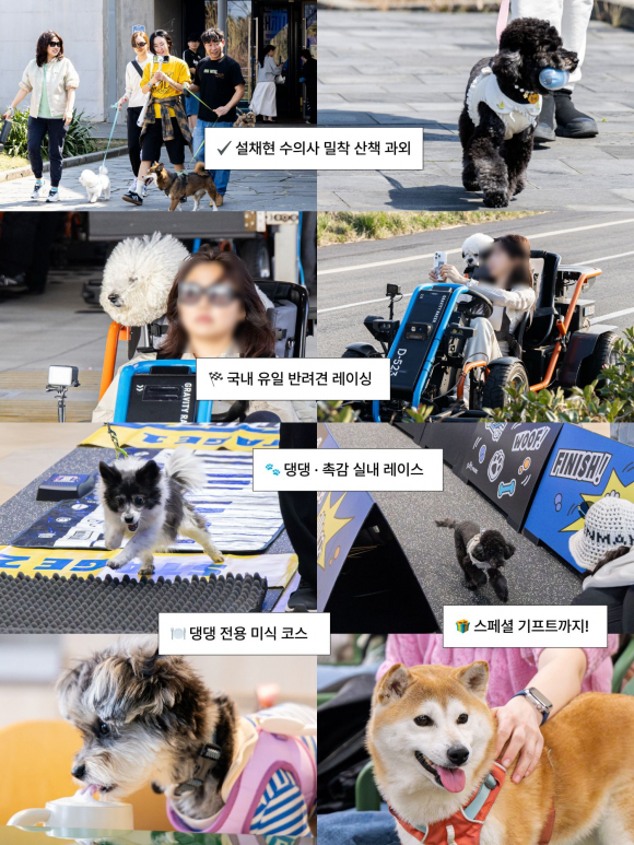 [자료 제공 ㈜모노리스제주파크. 재판매 및 DB 금지]