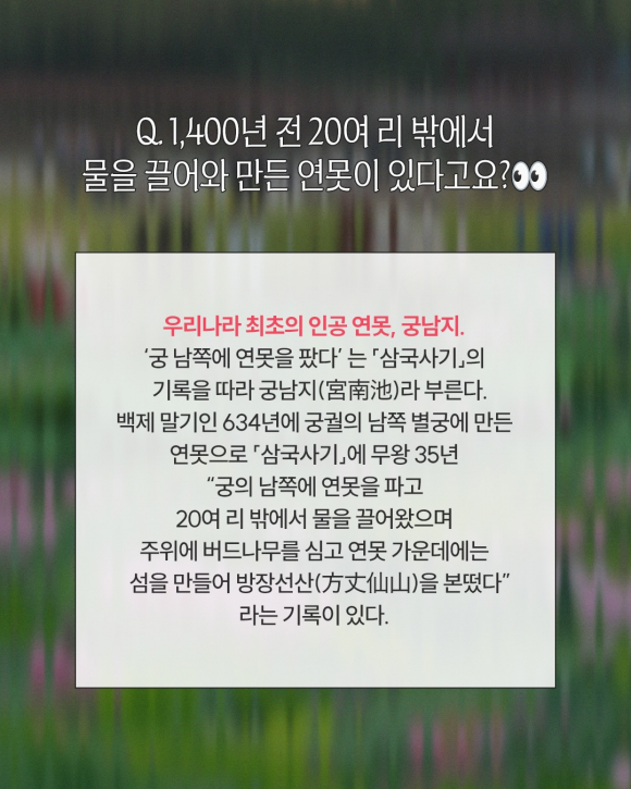 [자료 제공 백제문화재단. 재판매 및 DB 금지]