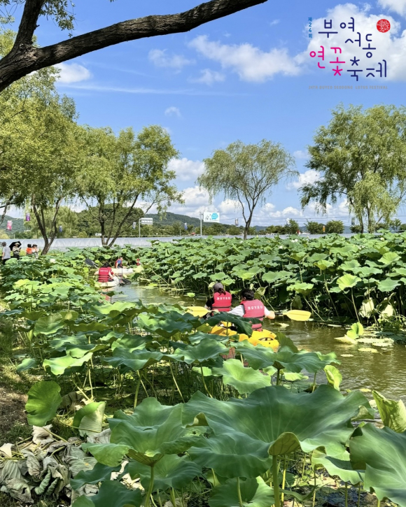 [자료 제공 백제문화재단. 재판매 및 DB 금지]