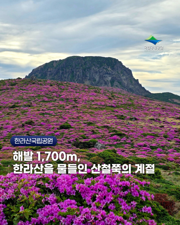 [자료 제공 한라산국립공원. 재판매 및 DB 금지]