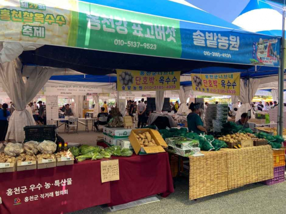[자료 제공 (재)홍천문화재단. 재판매 및 DB 금지]