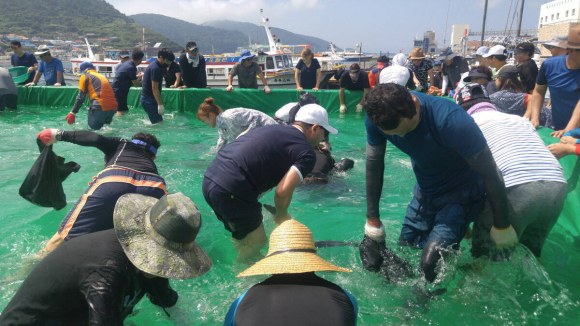 [사진 제공 여수시. 재판매 및 DB 금지]