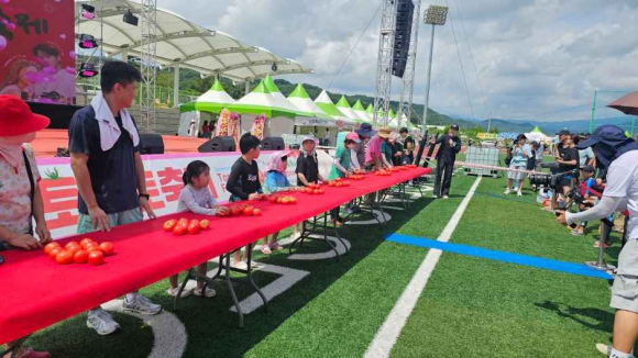 [자료 제공 둔내고랭지토마토축제위원회. 재판매 및 DB 금지]