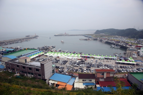 [사진 제공 서천군. 재판매 및 DB 금지]