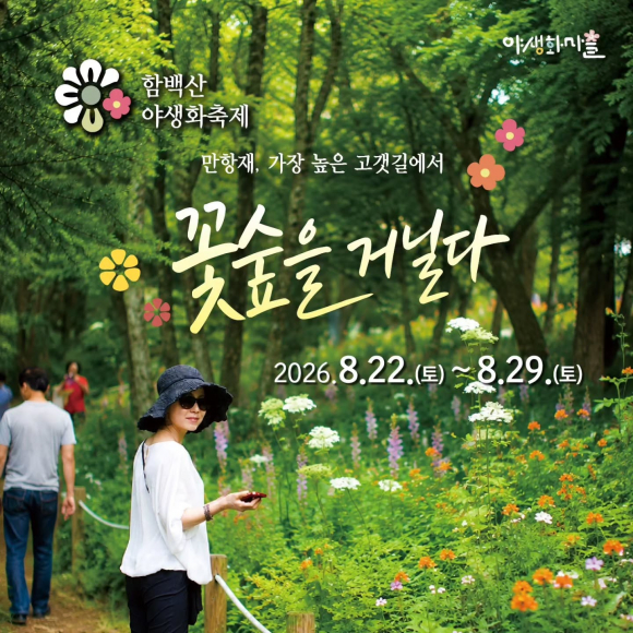 [사진 제공=정선군. 재판매 및 DB 금지]