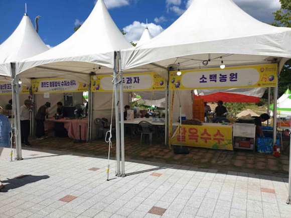 [사진 제공 영동군. 재판매 및 DB 금지]