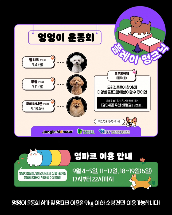 [사진 제공 부산관광공사. 재판매 및 DB 금지]