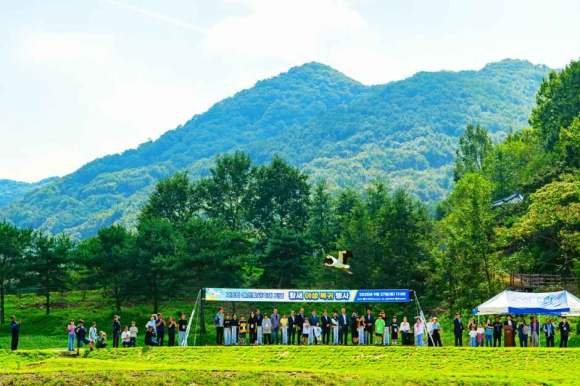[사진 제공 (사)예산황새 생태관광협의회. 재판매 및 DB 금지]