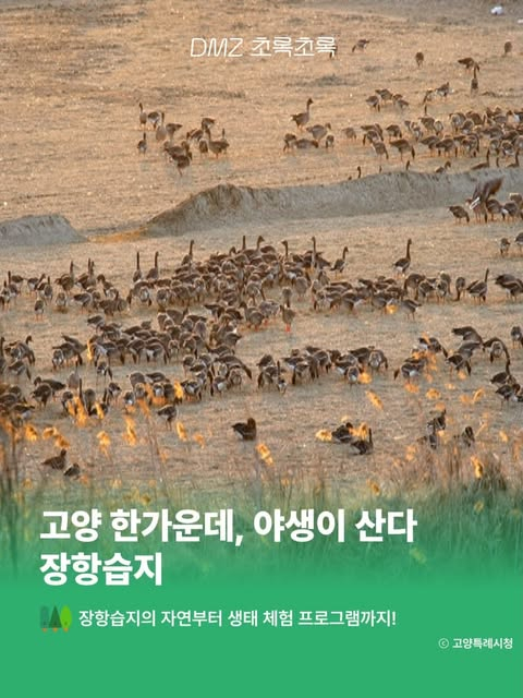 [사진 제공 경기관광공사·재판매 및 DB 금지]