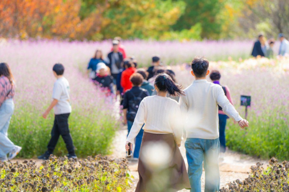 [자료 제공 인제군문화재단. 재판매 및 DB 금지]
