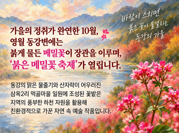 [자료 제공 영월군. 재판매 및 DB 금지]