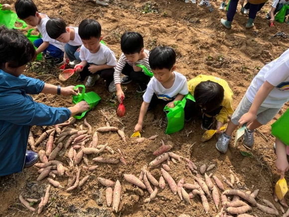 [자료 제공 청주시. 재판매 및 DB 금지]