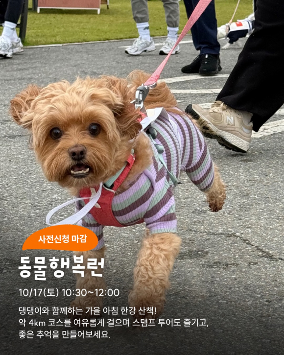 [사진 제공 서울특별시. 재판매 및 DB 금지]