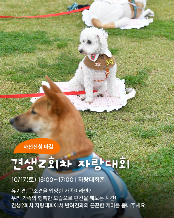 [사진 제공 서울특별시. 재판매 및 DB 금지]