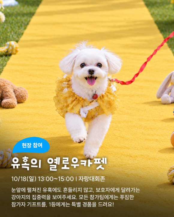 [사진 제공 서울특별시. 재판매 및 DB 금지]