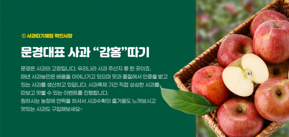 [사진 제공 문경시. 재판매 및 DB 금지]