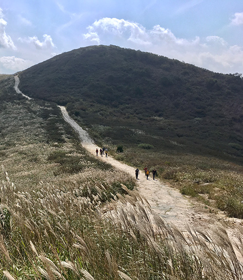 [사진 제공=합천군 황매산축제위원회, 재판매 및 DB 금지]
